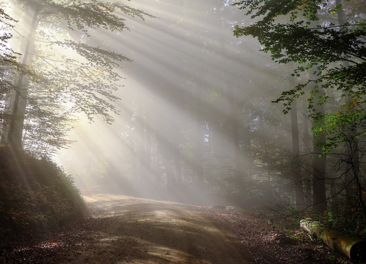 dirt-road-1789903_1280.jpg