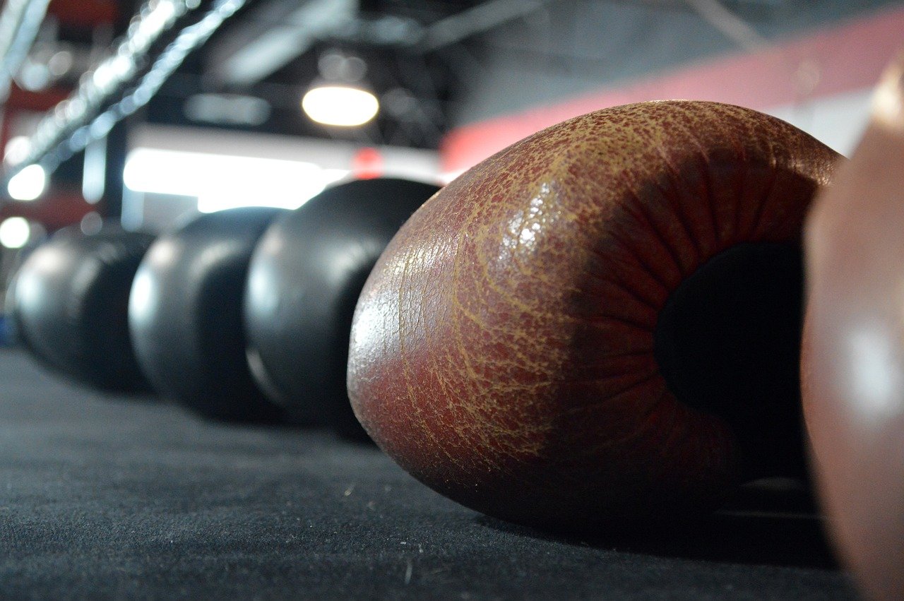 boxing-gloves-375473_1280.jpg