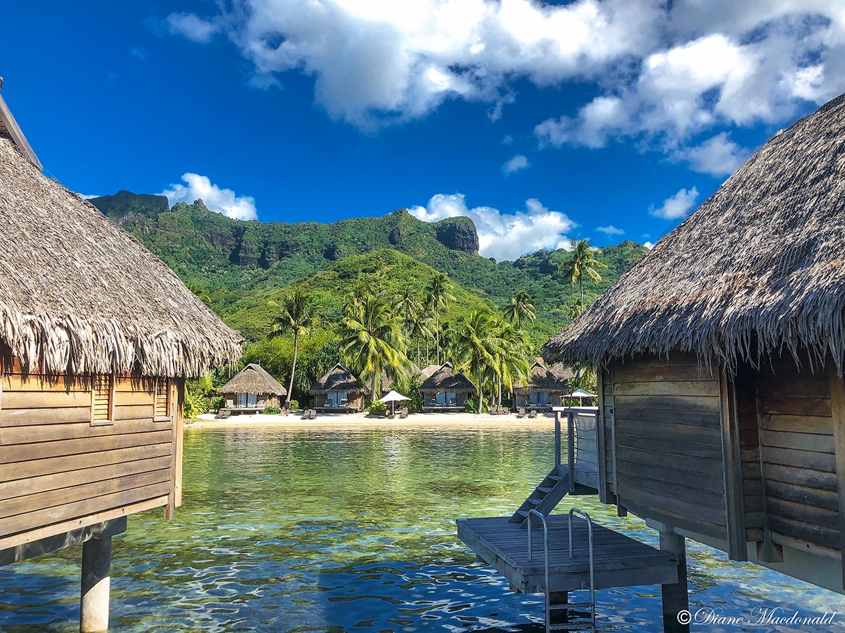 Moorea-809.jpg