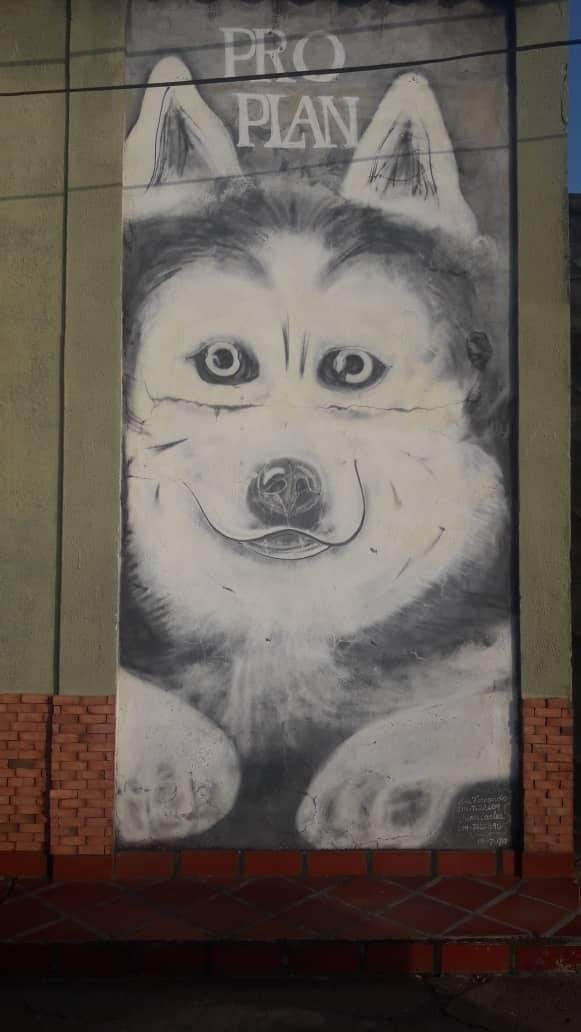 Graffitti Perro 2.jpg