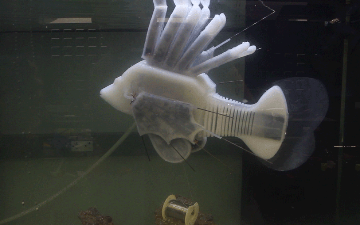 Robo-fish.gif