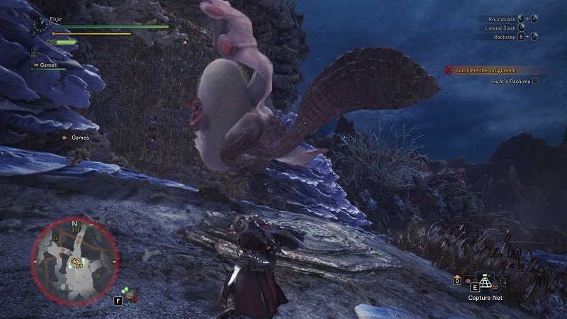 Monster Hunter World Paolumu.jpg