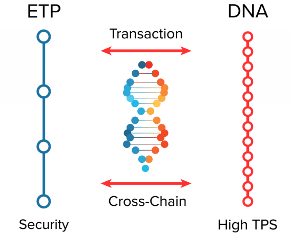 DNA-TOKEN-smaller_noNum.gif