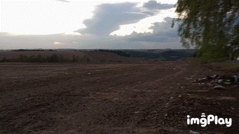 1000618548.gif