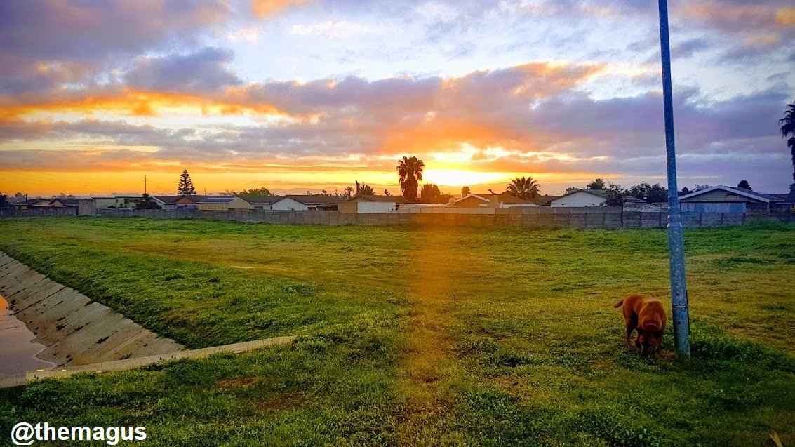 sunriseEFFECTS.jpg