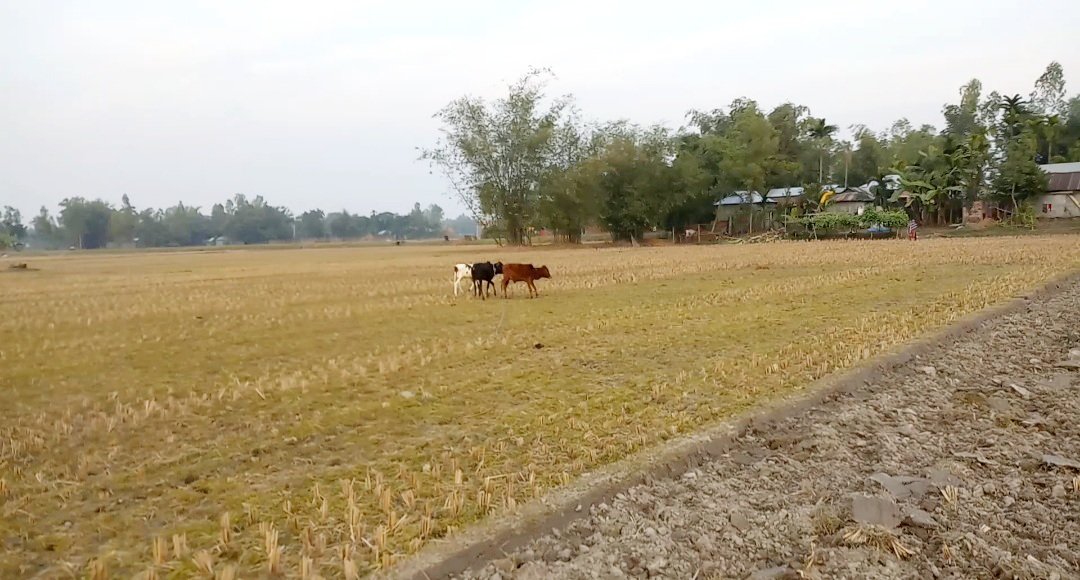 20201130_134253.jpg
