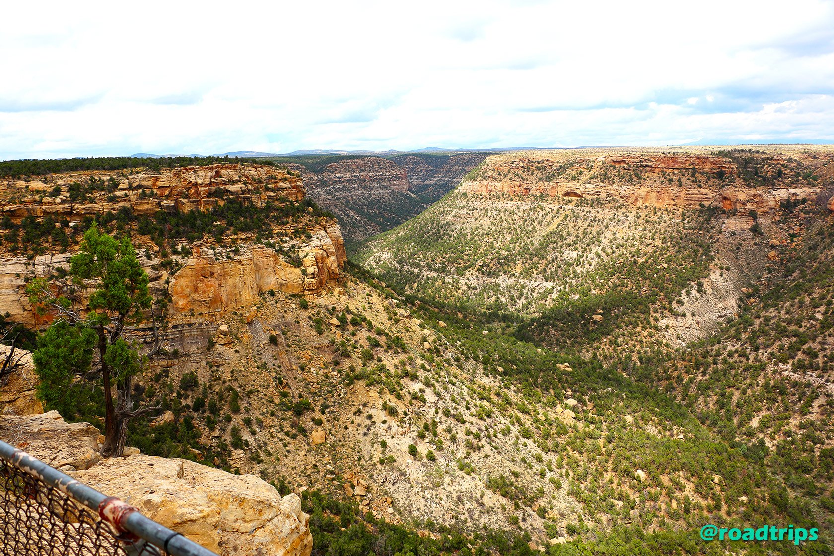 MesaVerde_6.jpg