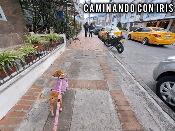 1000025744.gif