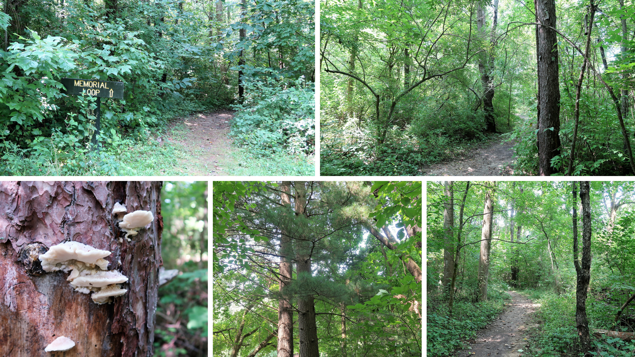 Lieber State Recreation Area at Cagles Mill Lake (10).png