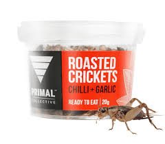 roasted crickets.jpeg