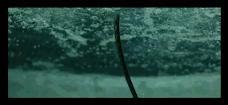 image.gif