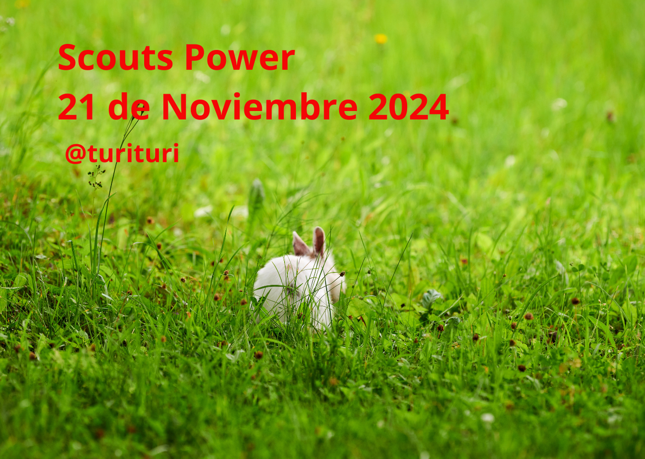 Scouts Power del 21 de Noviembre 2024.png