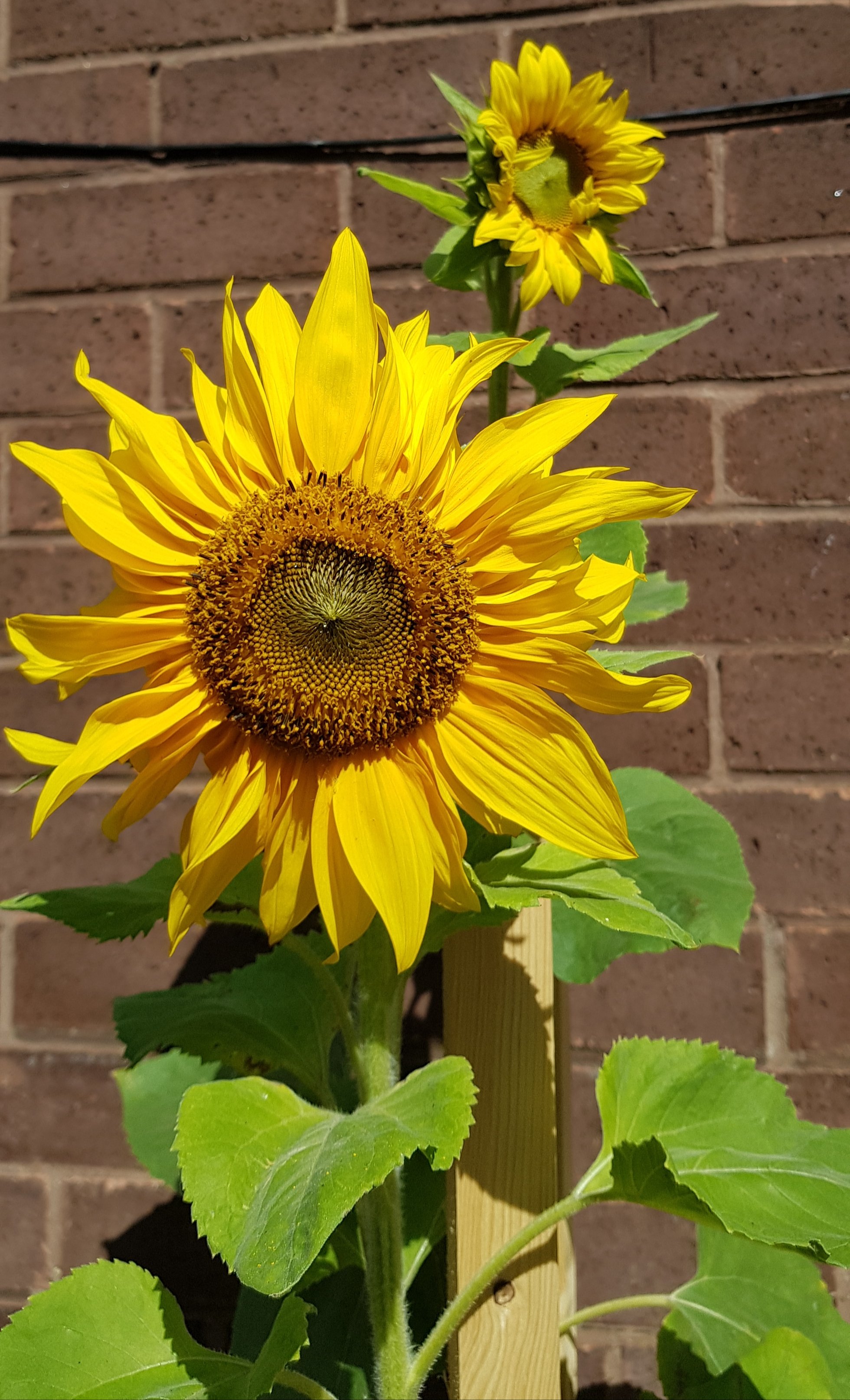 20180829_132135.jpg