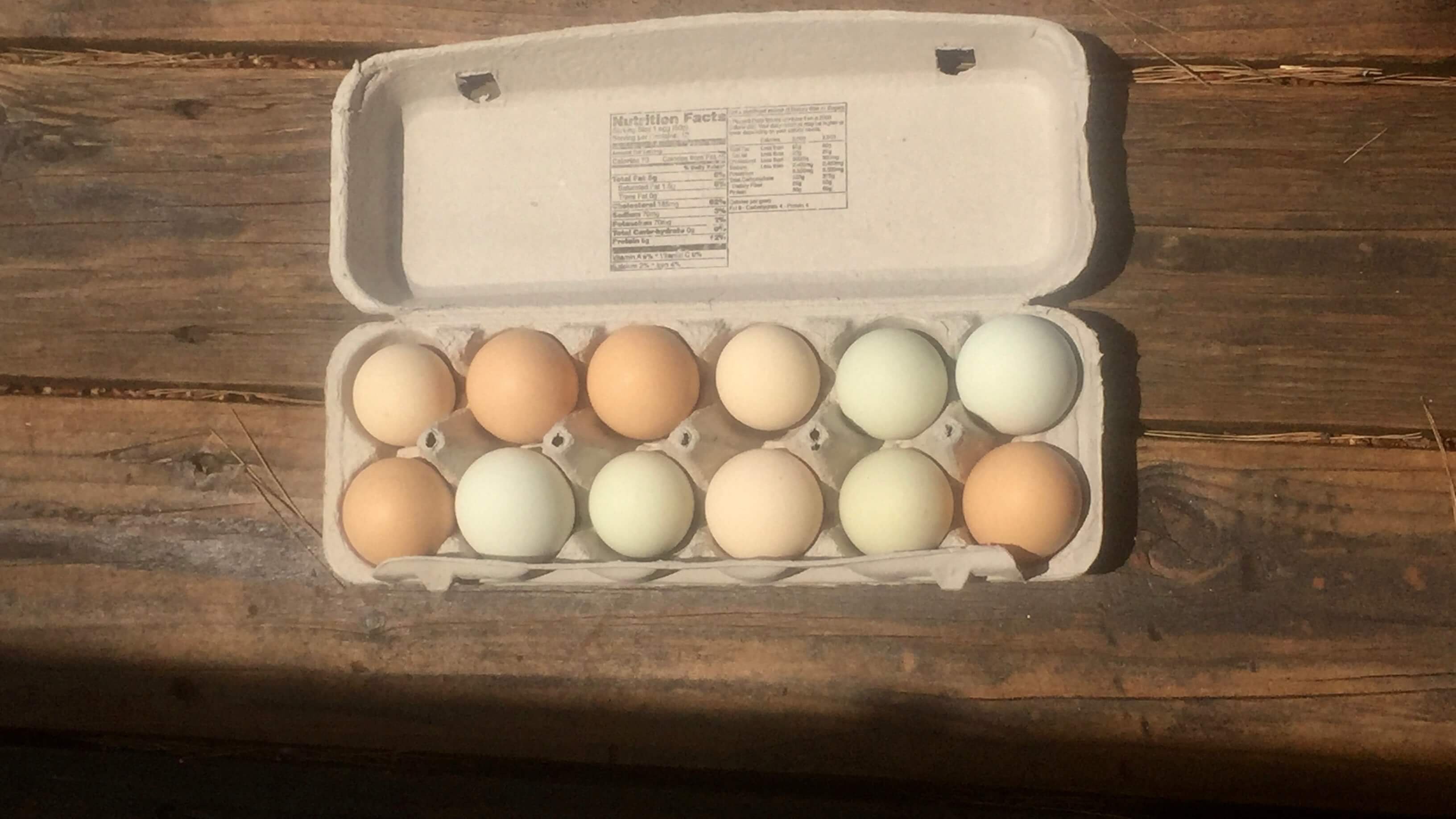 1 doz eggs.jpg