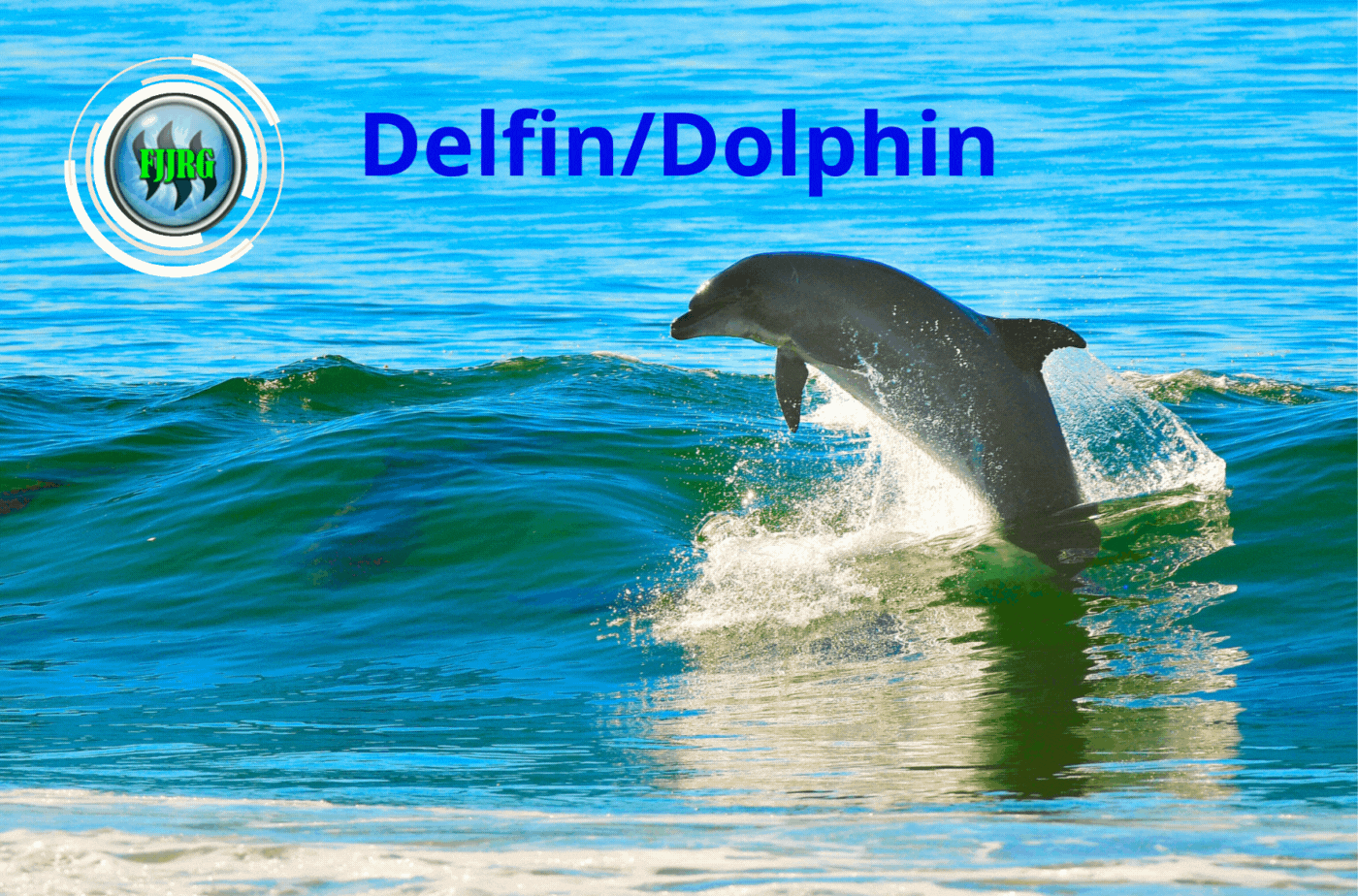 DelfinDolphin (1).gif