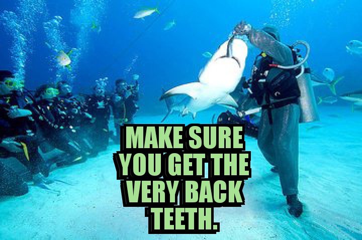 shkbait_nocavity_club.jpg