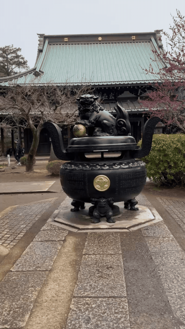IMG_5456.gif