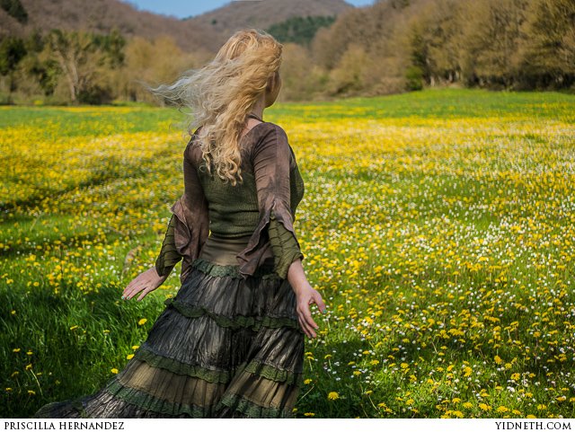 dandelions - by priscilla Hernandez (yidneth.com)-3.jpg