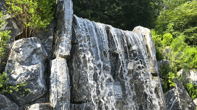 1000132185.gif