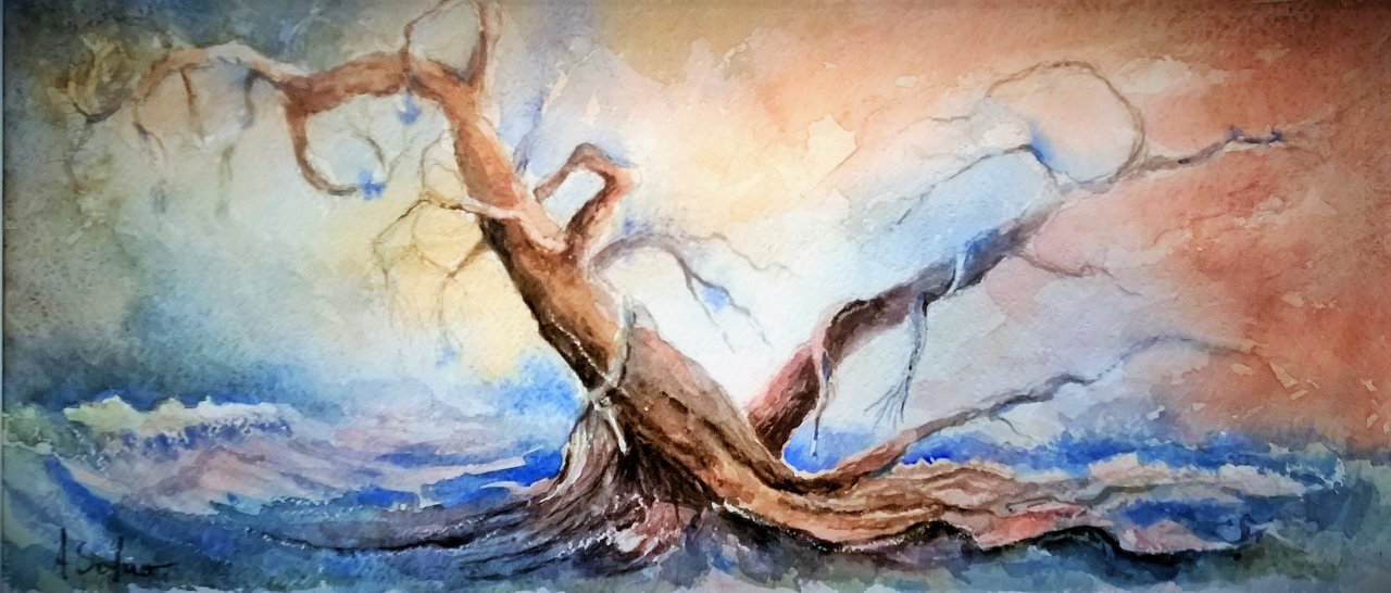 grande albero marino 2015 cm.45x30 avalaible.jpg