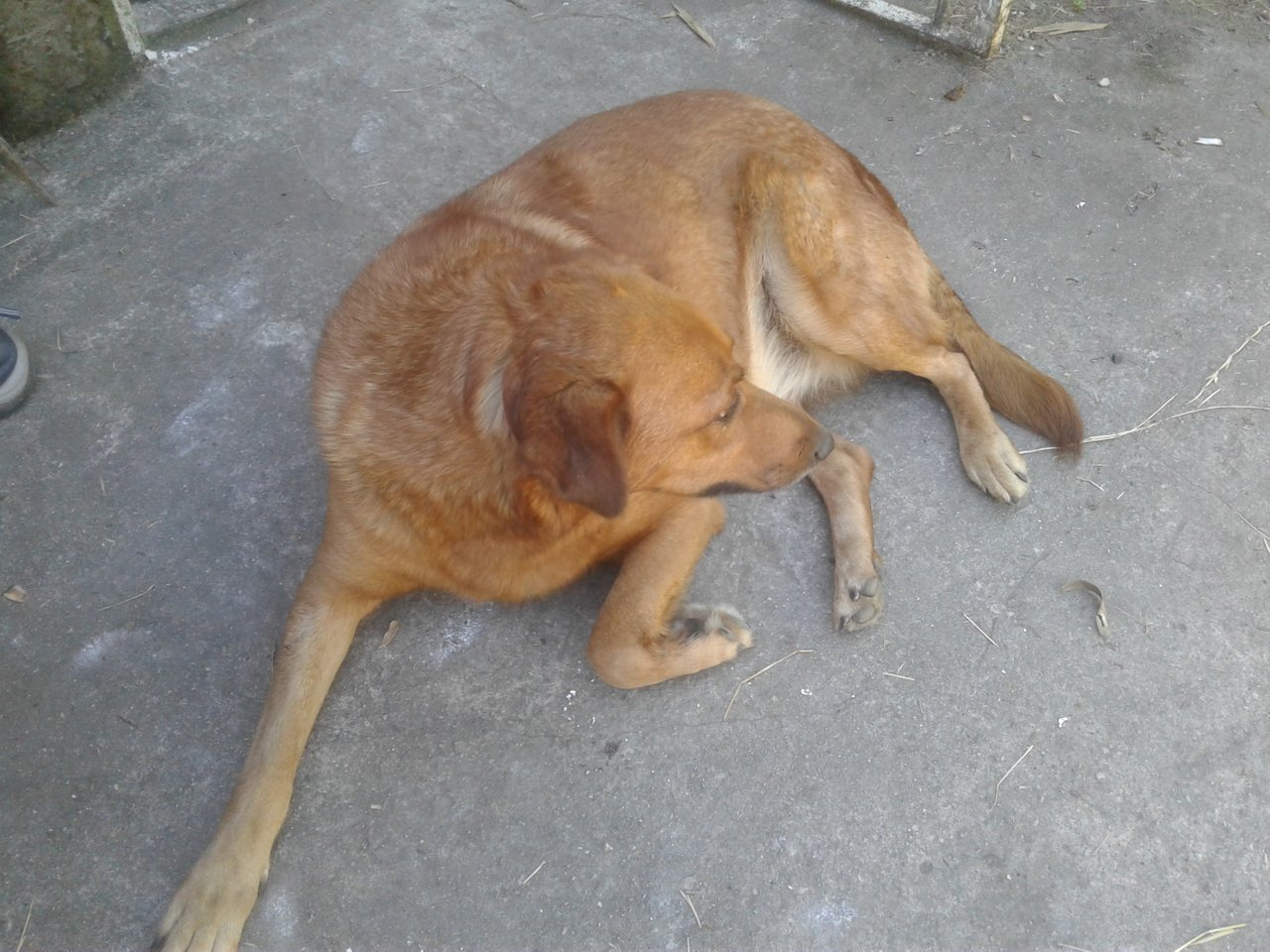 20190407_140057.jpg