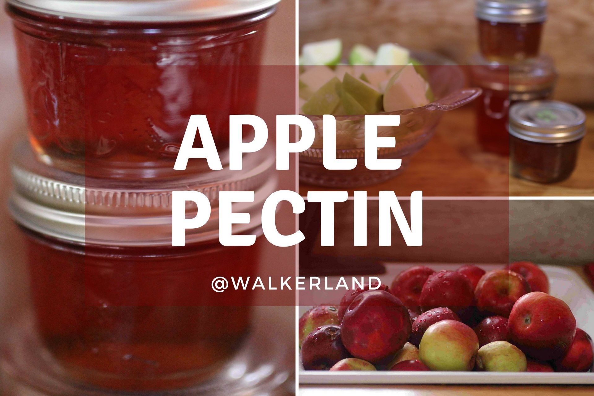 apple pectin.jpg