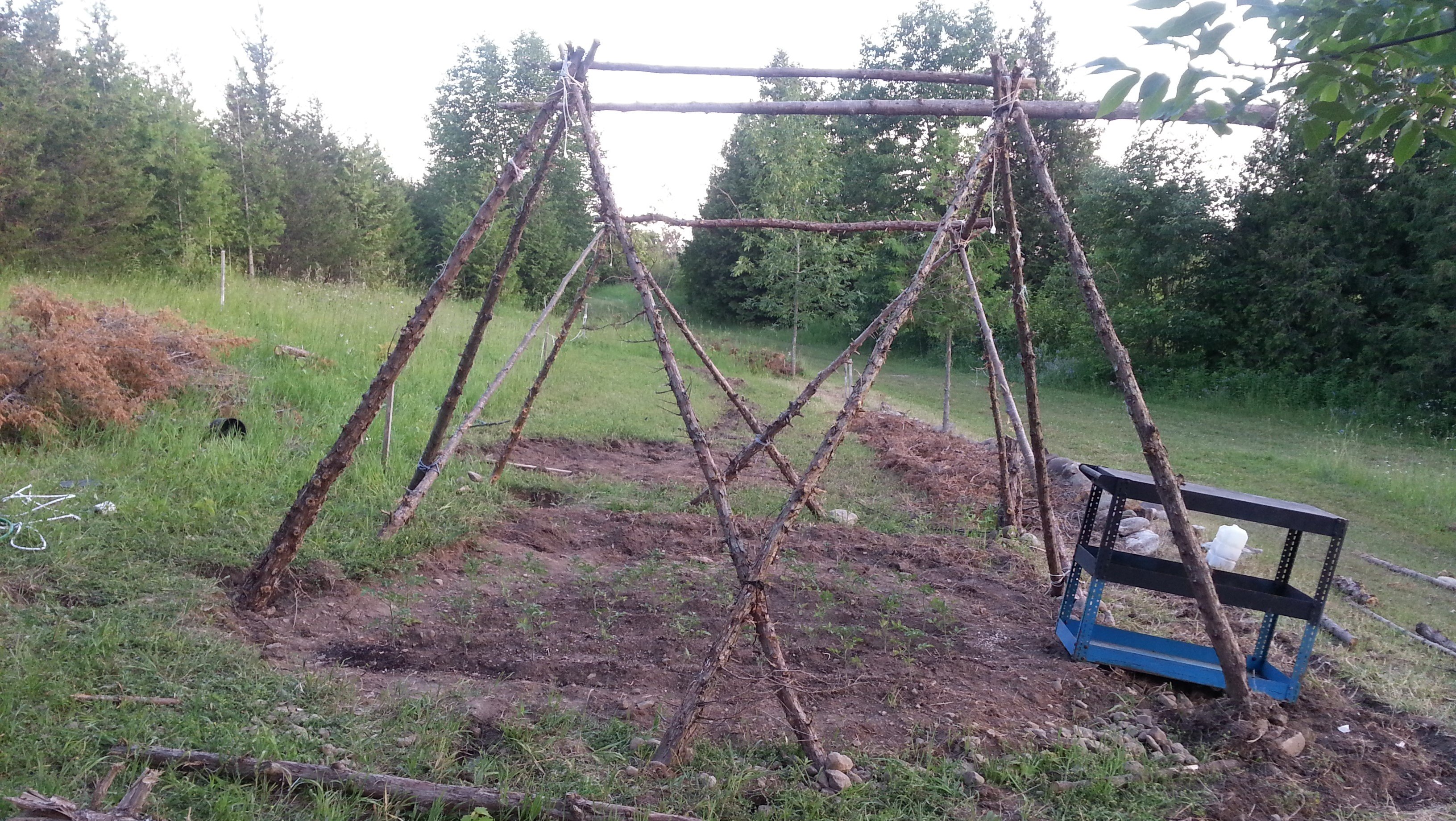 greenhouse_frame_backview.jpg