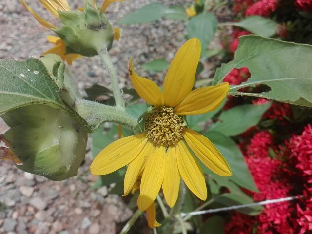 PHOTO_20210909_113354.jpg