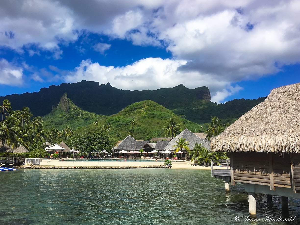 Moorea-819.jpg