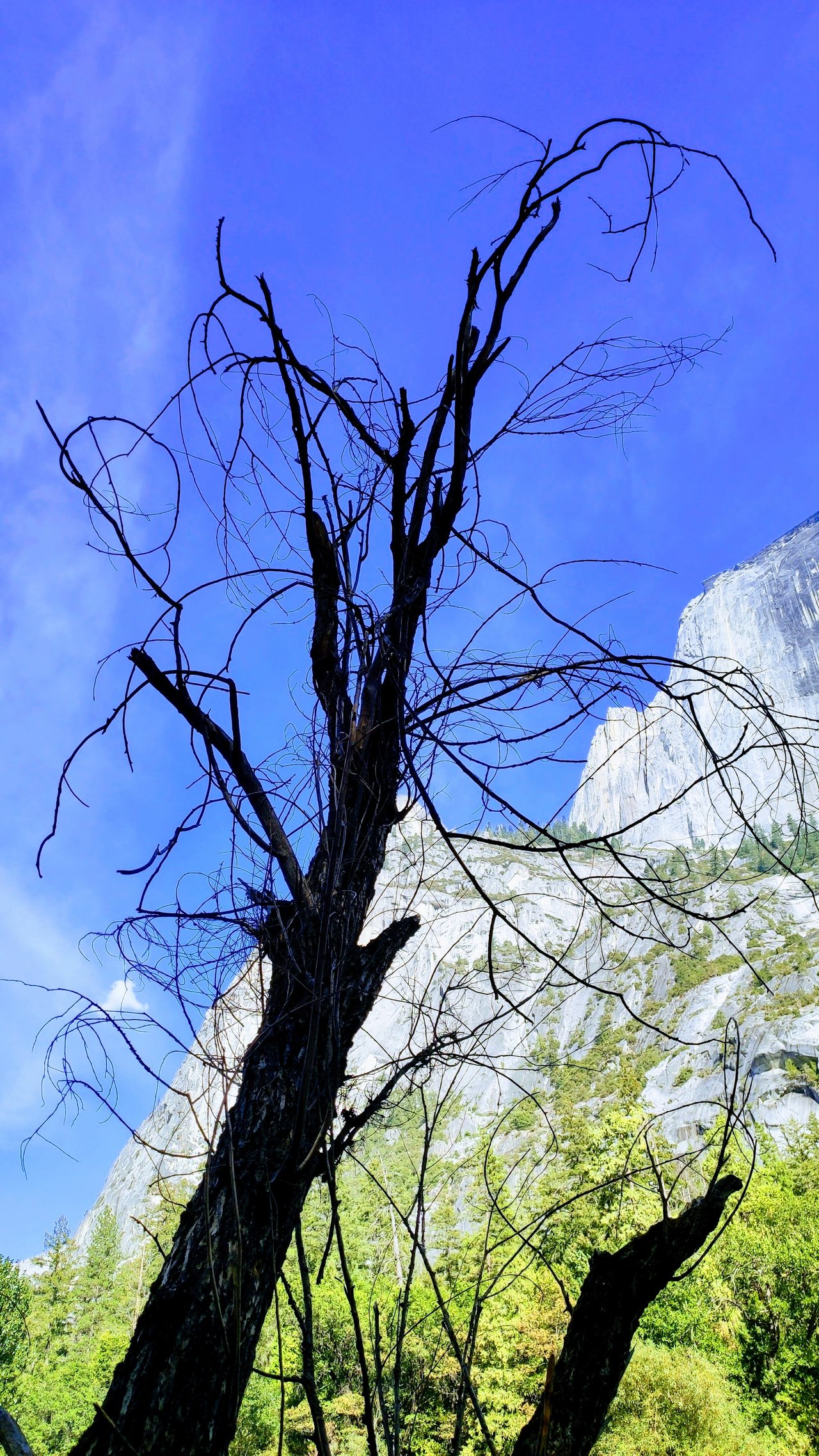 yosemite NP  (5).jpg