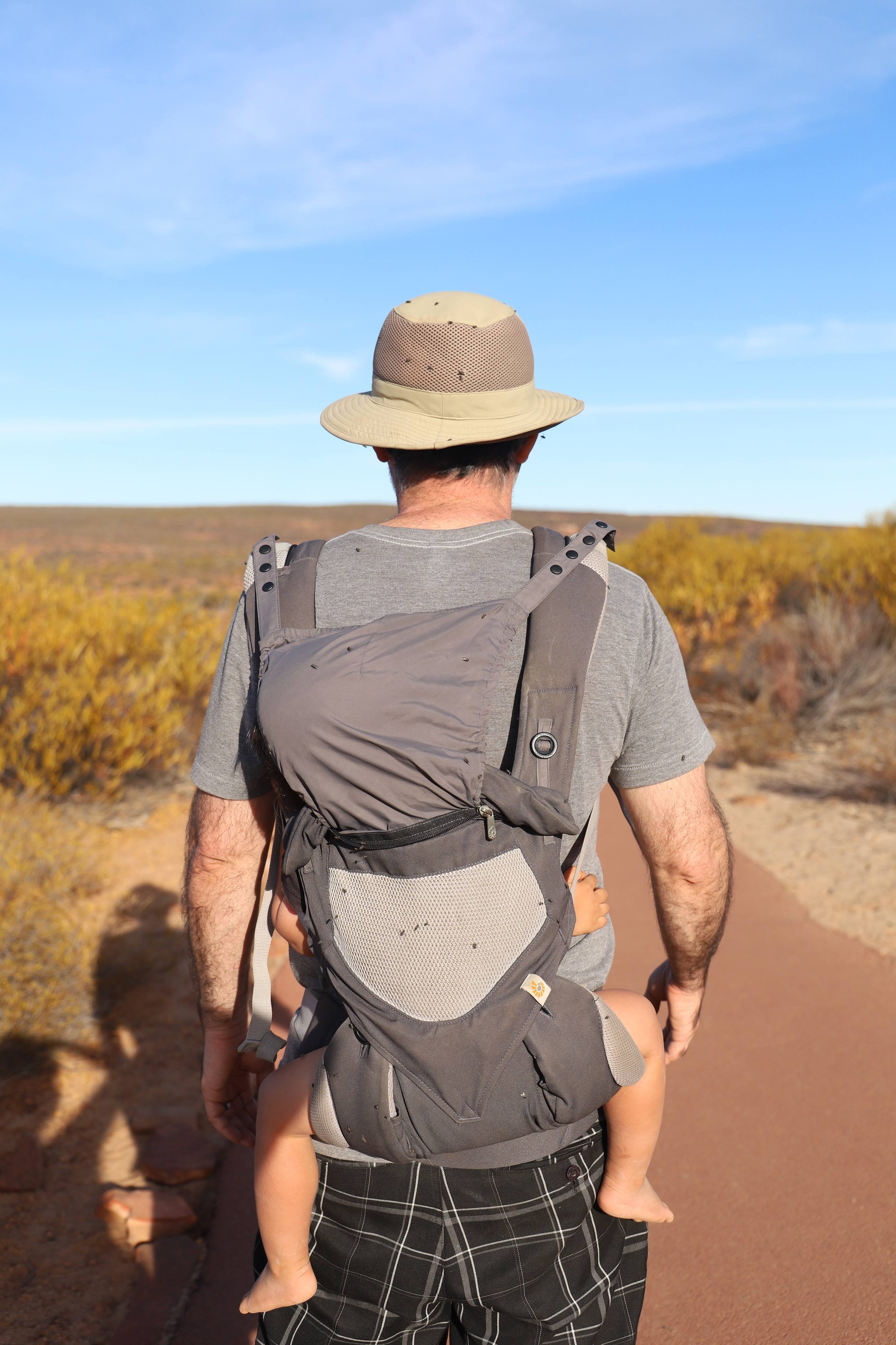 Flies in Kalbarri.jpg