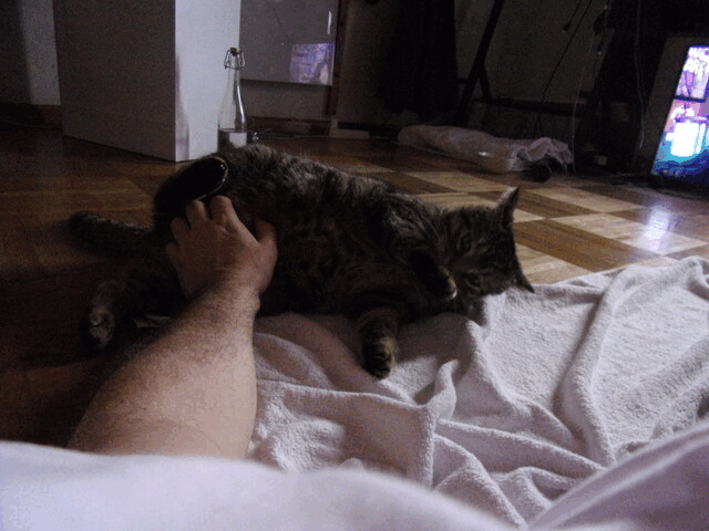ezgif-170594eb6a4e8d.gif