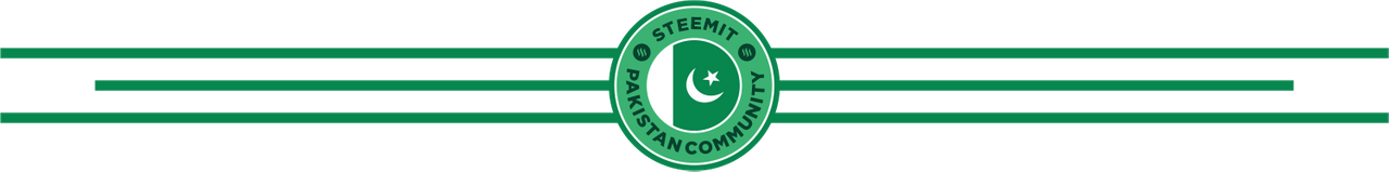 Steem Pakistan Divider 1.png