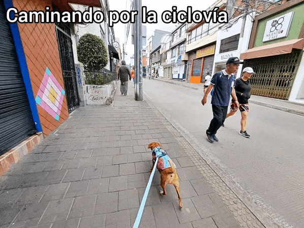 1000008994.gif