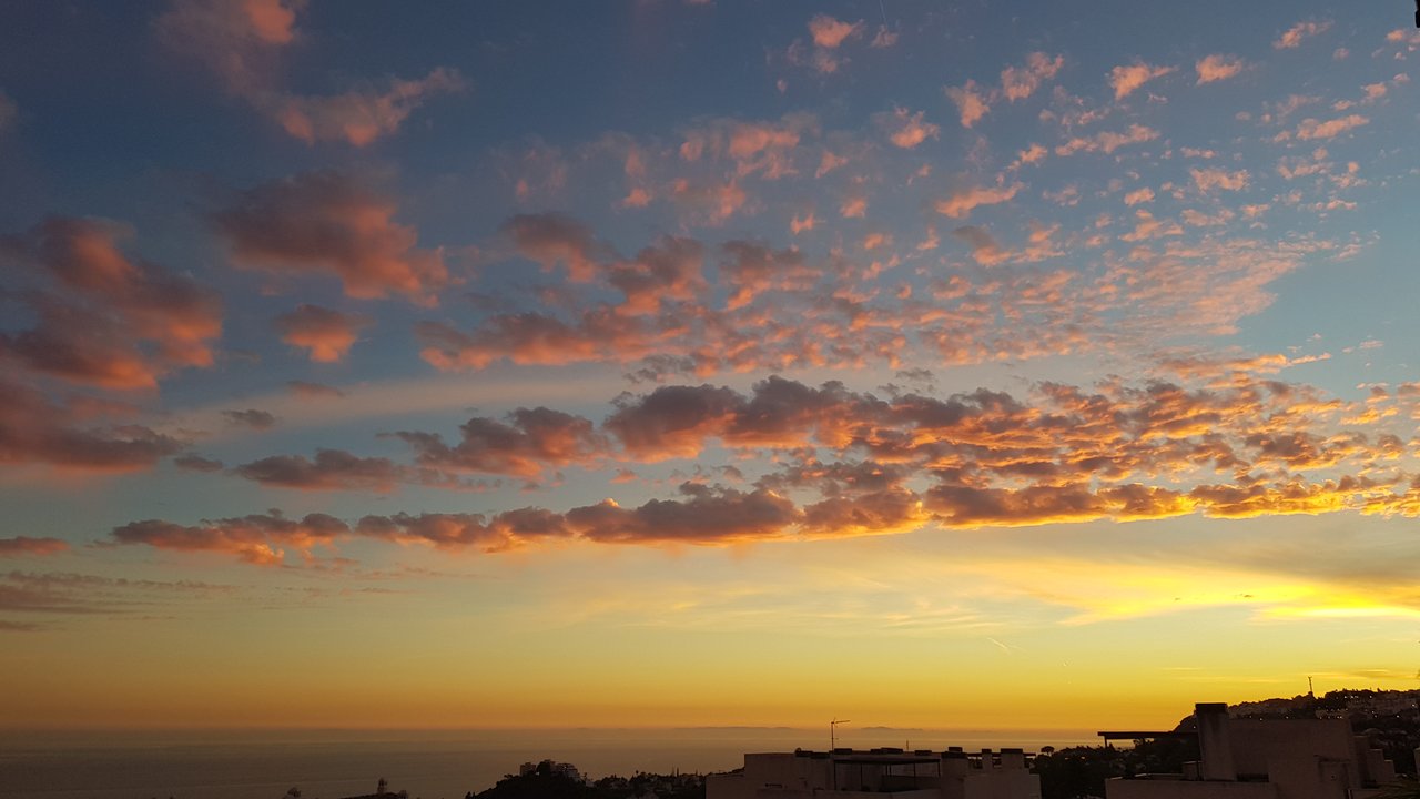 20181128_181234.jpg