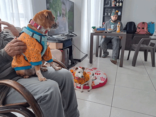 1000038043.gif