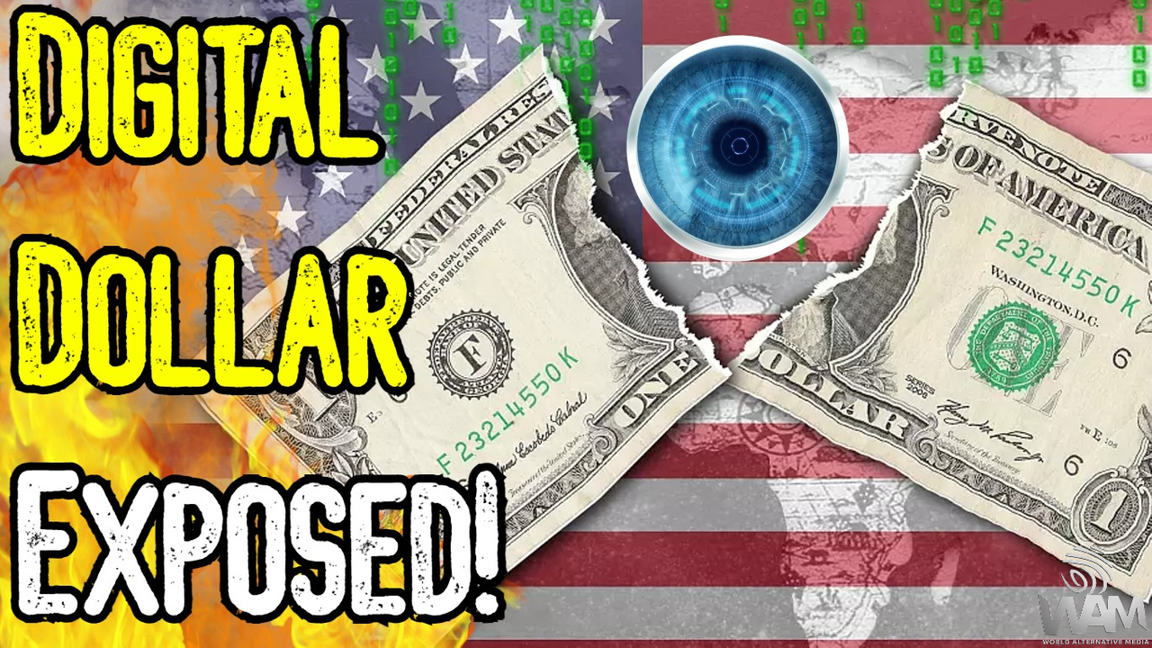 digital dollar exposed thumbnail.png