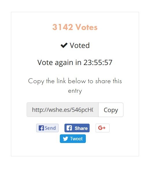 netcoin vote.jpg