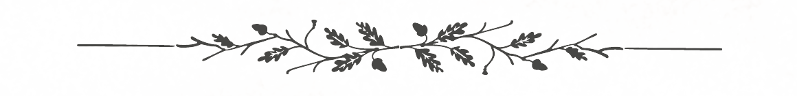 Separador-1 (1).png