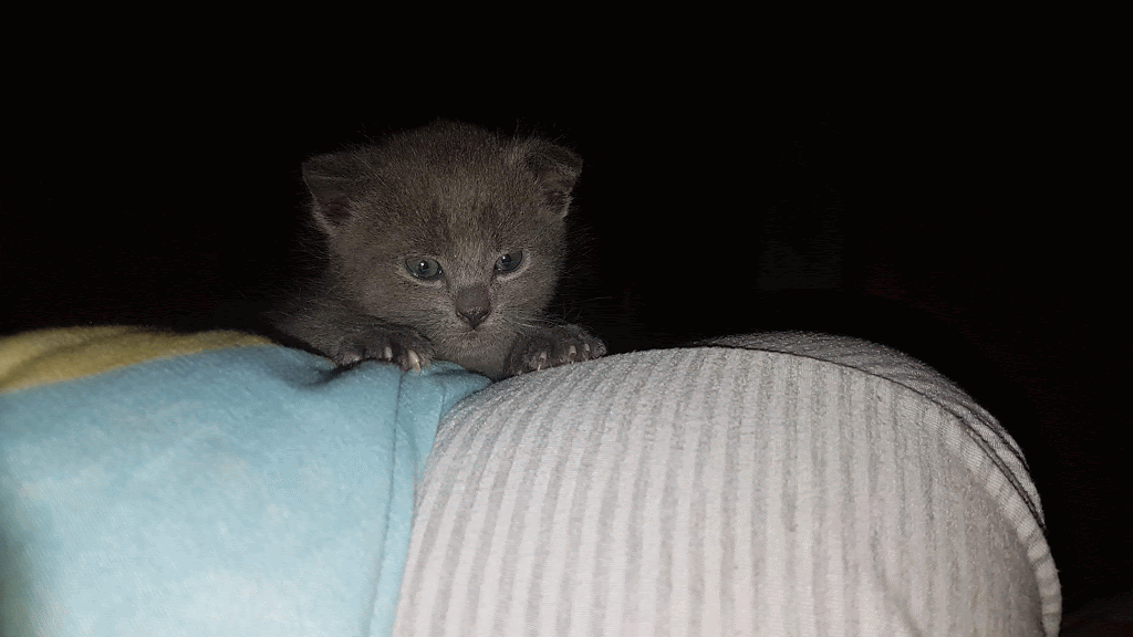 20190529_223021-ANIMATION.gif