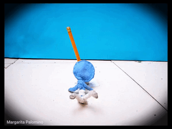 1000029469.gif