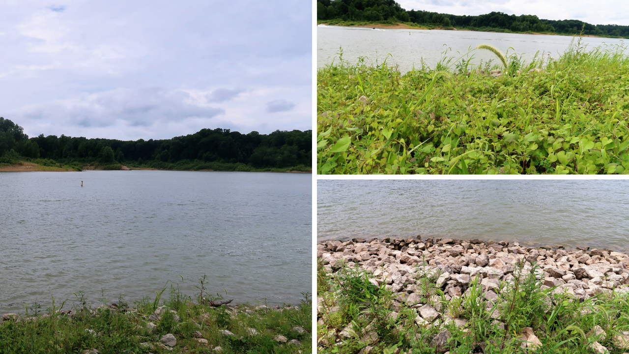 Lieber State Recreation Area at Cagles Mill Lake (5).png