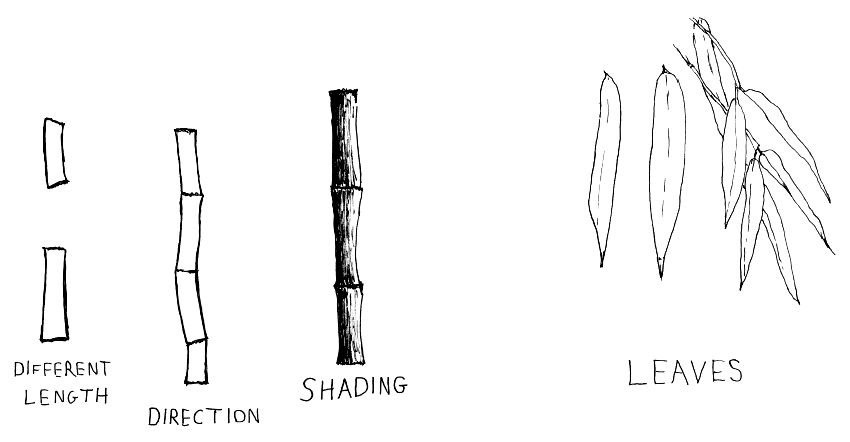 steps-for-drawing-bamboo.jpg