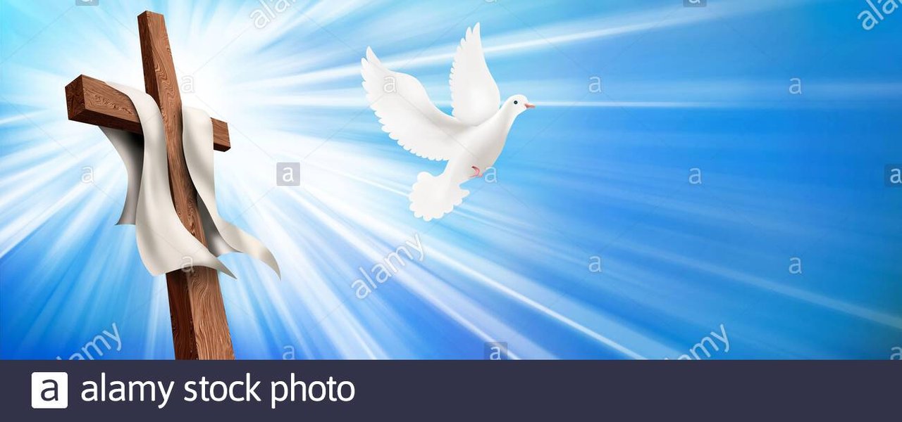 web-banner-resurrection-christian-cross-illustration-with-dove-concept-life-after-death-2B2NFWK.jpg