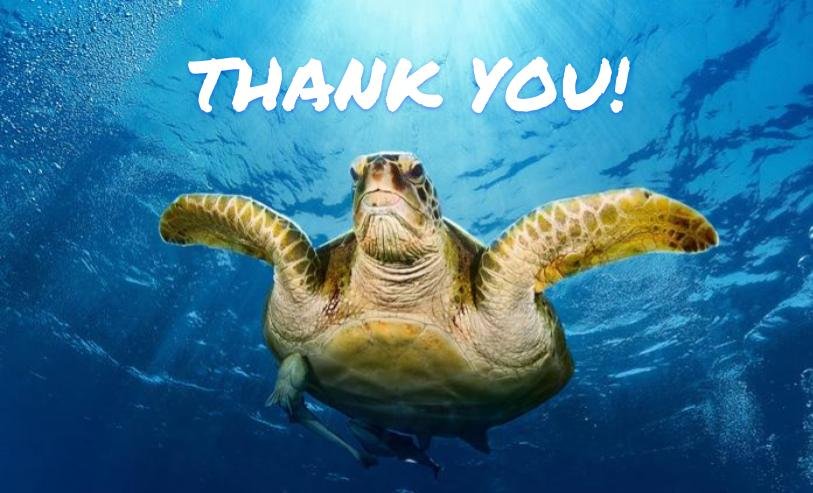 thank you turtle.jpg