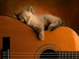 gato%20guitarra.jpg