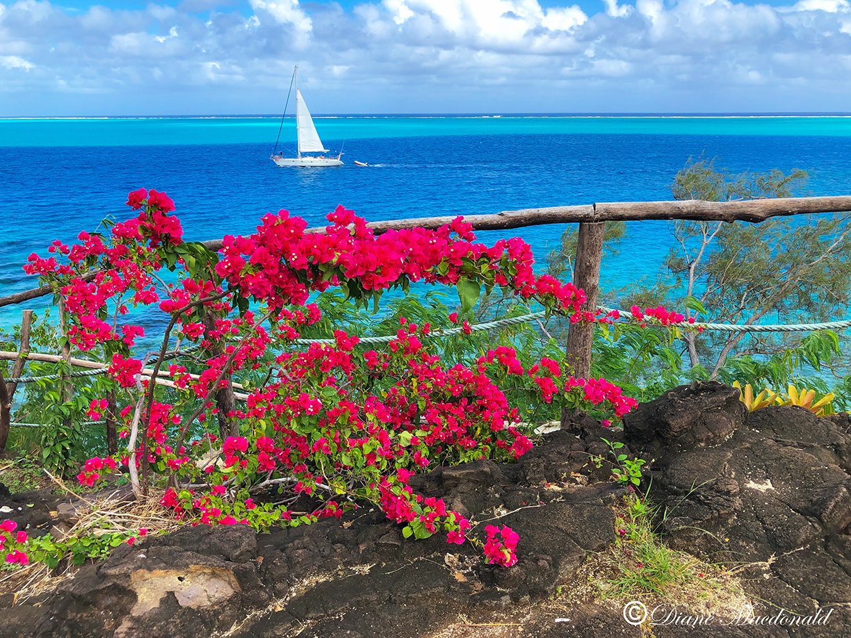 lookout point-3 huahine.jpg