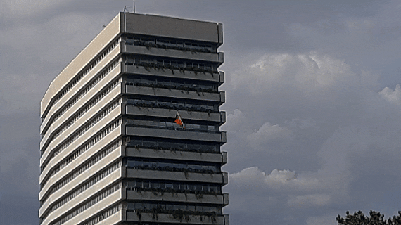 InShot_20250808_115025832.gif