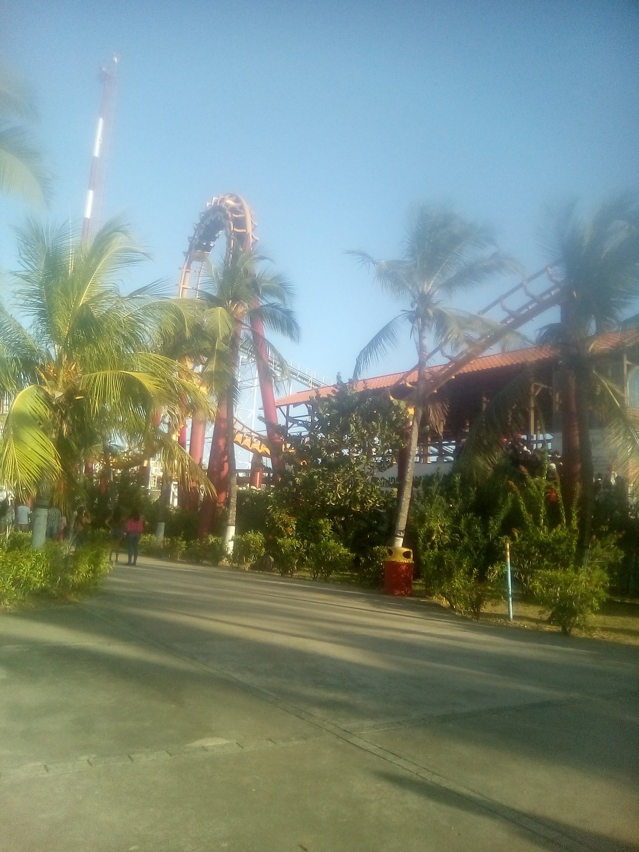 IMG_20211005_170158.jpg