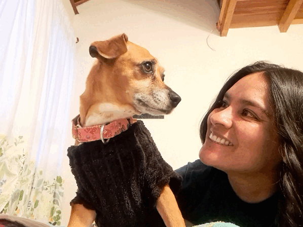 1000009351.gif